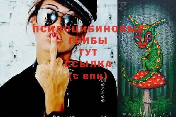 спиды Аркадак