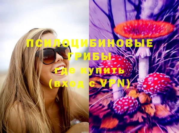 mdpv Арсеньев