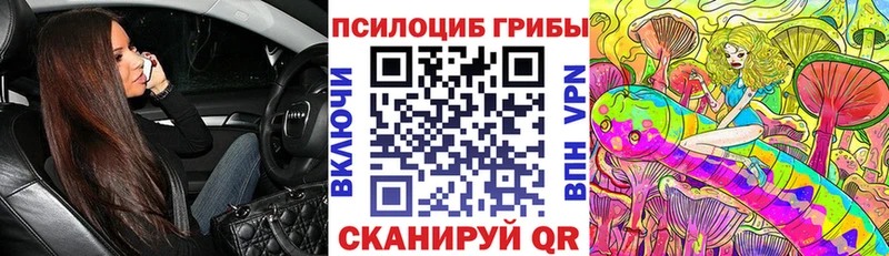 дарк нет телеграм  Козьмодемьянск  Псилоцибиновые грибы GOLDEN TEACHER 